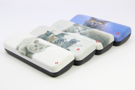 Футляры R-W 171-3